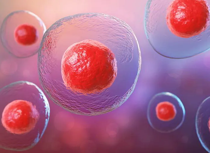 OVULATION INDUCTION-02_1