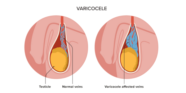Untitled design (24)